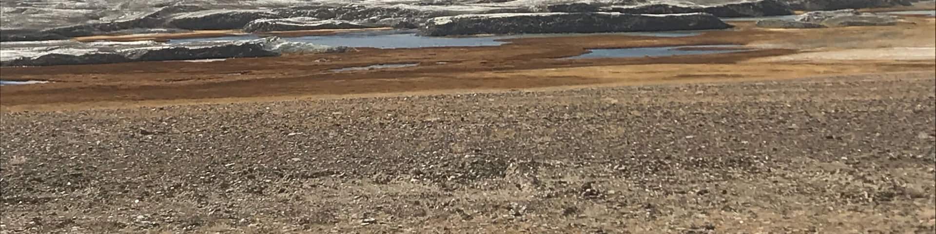 Tso Kar Lake also known as white lake. Its one of the three high altitude salt water lakes in ladakh..known for its scenic beauty and variety of wildlife.. An overnight stay is recommended here.. #IncredibleIndia #LifeAtExpedia