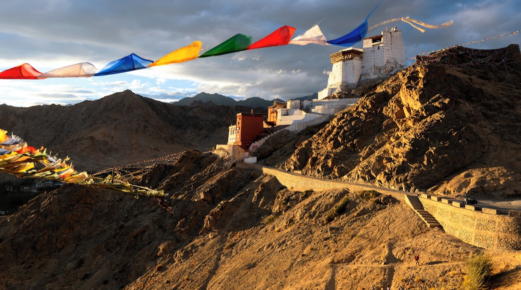 Golden evening hours at a hill which offers this great view onto the palace of Leh. There are Tibetan flags flattering in the wind.
#GoldenHour Photography
#golden
#leh #ladakh
