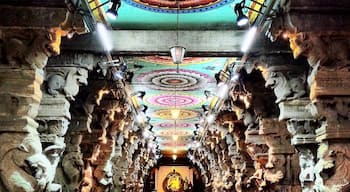 Amazing stop. Could have spent hours here.