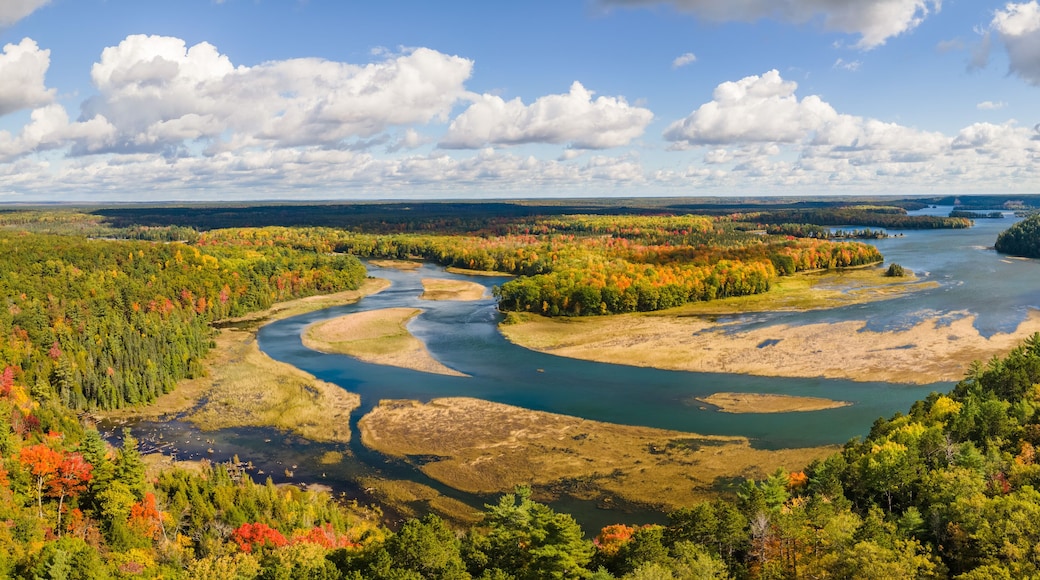 Autumn colors in the Huron Manistee National Forests along the Ausable River