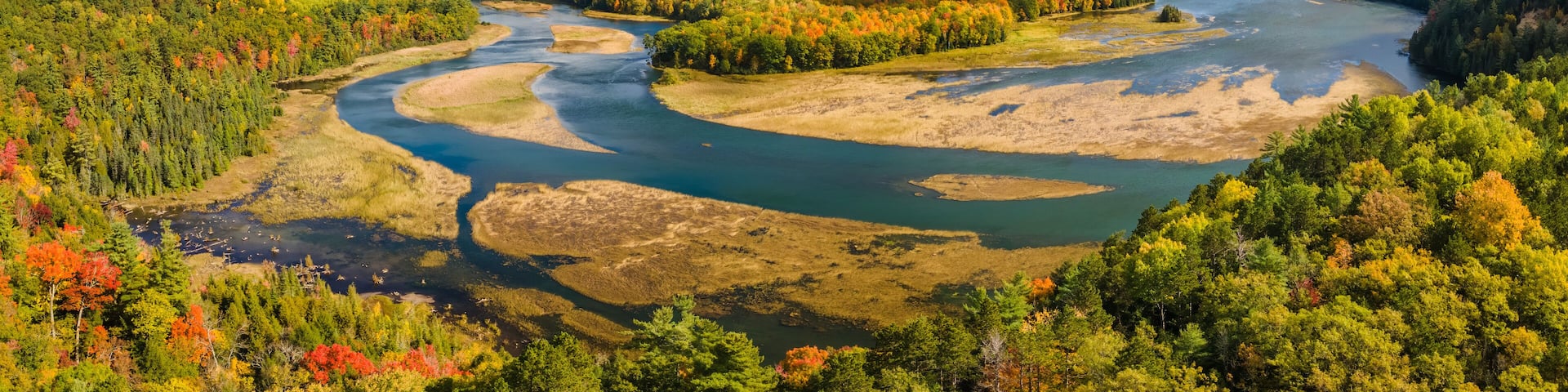 Autumn colors in the Huron Manistee National Forests along the Ausable River