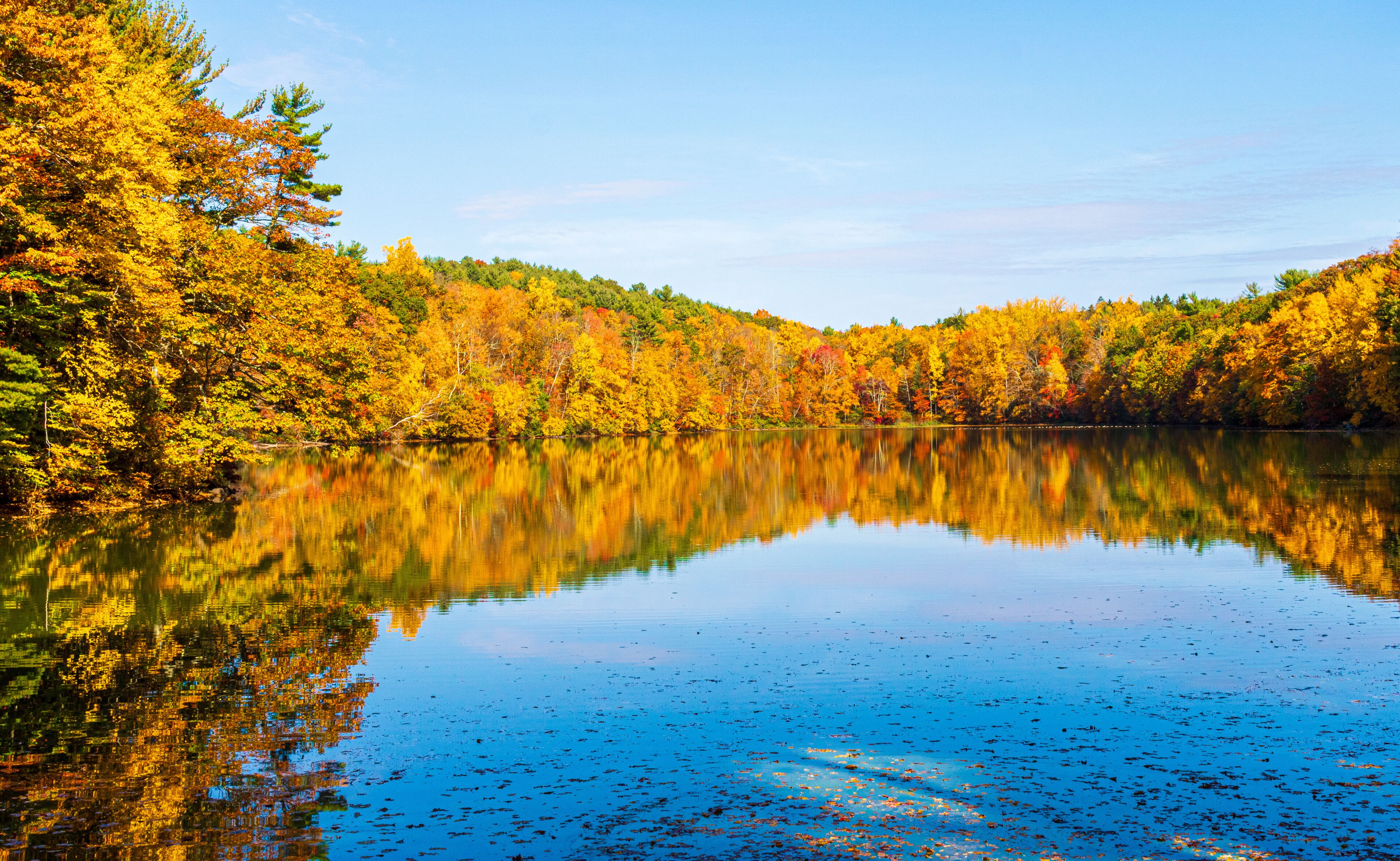 Colorful fall foliage reflected in a small pond