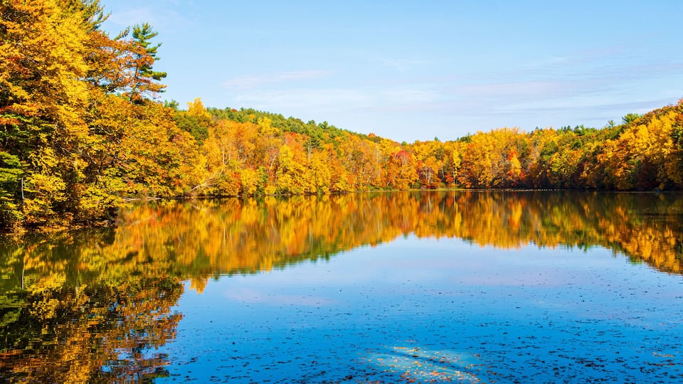 A calm lake surrounded by autumn-colored trees reflecting in the water.