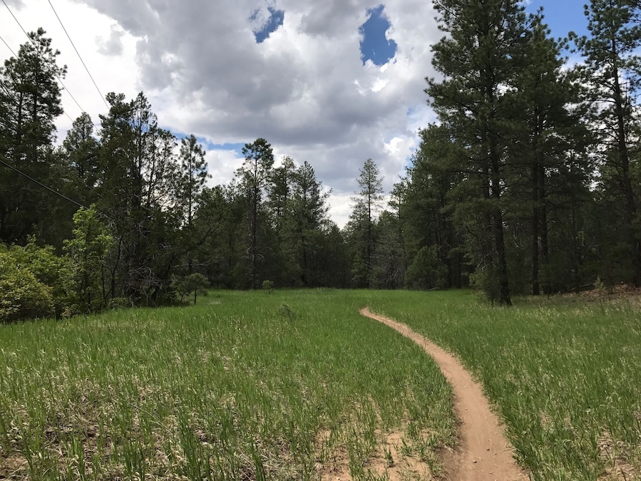 Summer hiking Tijeras NM