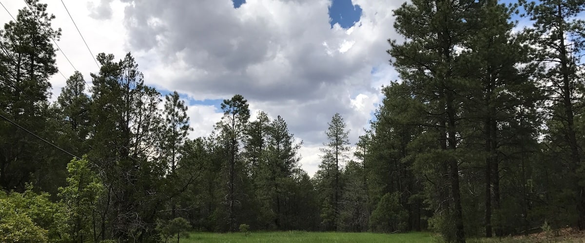 A dirt path winding through a grassy field surrounded by trees.