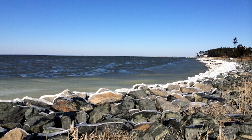 TIlghman Island is part of the Chesapeake Bay in Maryland. Cute, quaint little town to visit perhaps as an offshoot of a trip to St. Michael's.