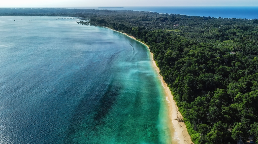 White sand beach and low tide at the tropical coast of Shaheed Dweep island