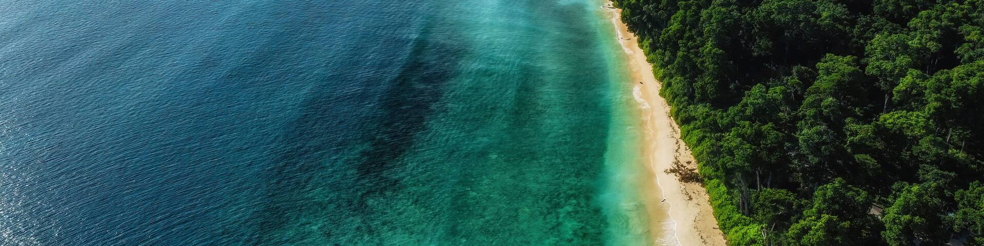 A coastal landscape with a clear turquoise sea, a sandy beach, and dense green forest.