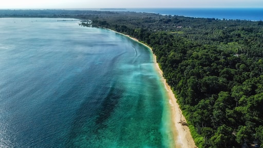 White sand beach and low tide at the tropical coast of Shaheed Dweep island