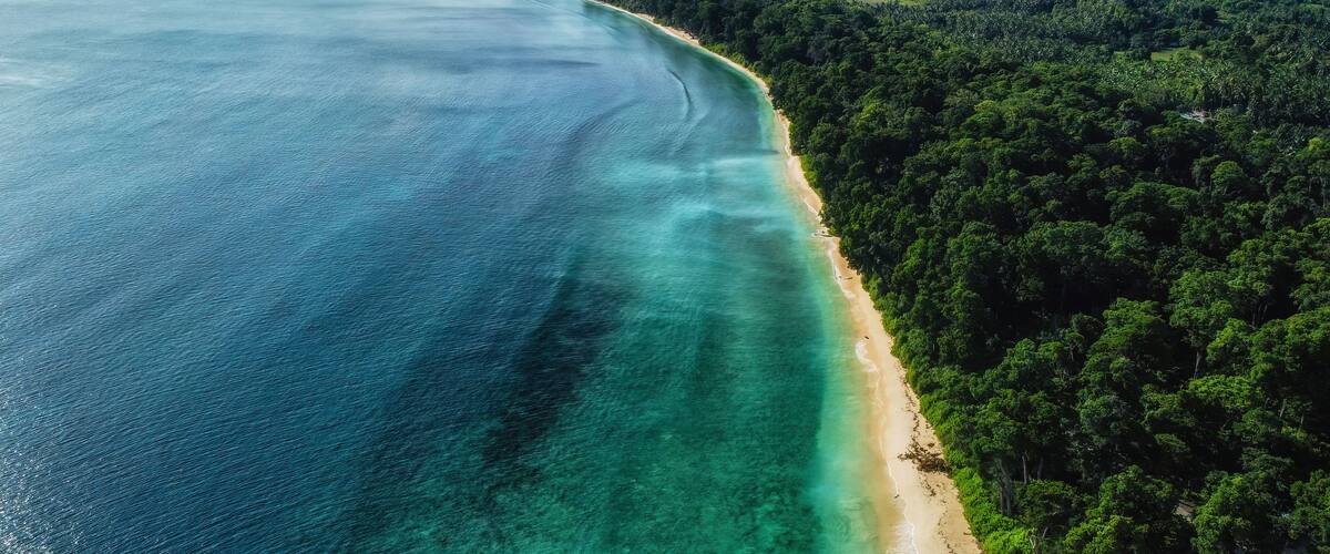 A coastal landscape with a clear turquoise sea, a sandy beach, and dense green forest.