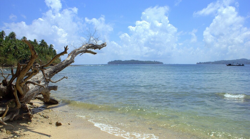 Spotted this cool looking dried tree while strolling on a beach in Port Blair, Andaman & Nicobar! A beach-bummers paradise and a diver's delight, the unspoiled beaches of Andaman and Nicobar Island, India have plenty to offer!
#blue