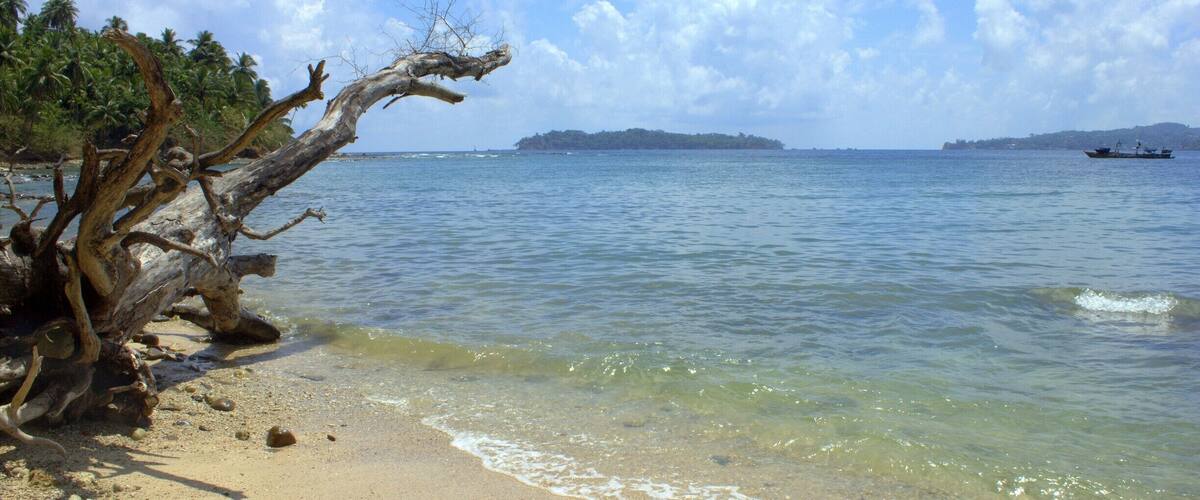 Spotted this cool looking dried tree while strolling on a beach in Port Blair, Andaman & Nicobar! A beach-bummers paradise and a diver's delight, the unspoiled beaches of Andaman and Nicobar Island, India have plenty to offer!
#blue
