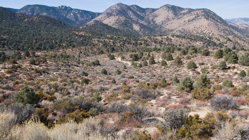 A desert landscape with sparse vegetation and distant mountains.