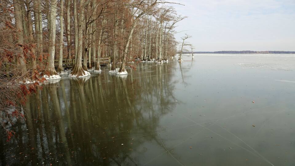 A frozen river with trees and ice sculptures along the shore.