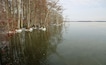 Reelfoot Lake State Park
