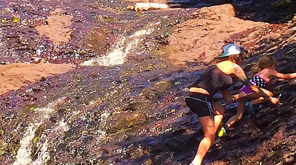 I visit here multiple times a summer.