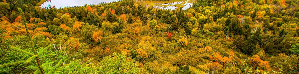 View of forest and lake, Oberg Mountain hiking trail, Tofte, Minnesota, USA
