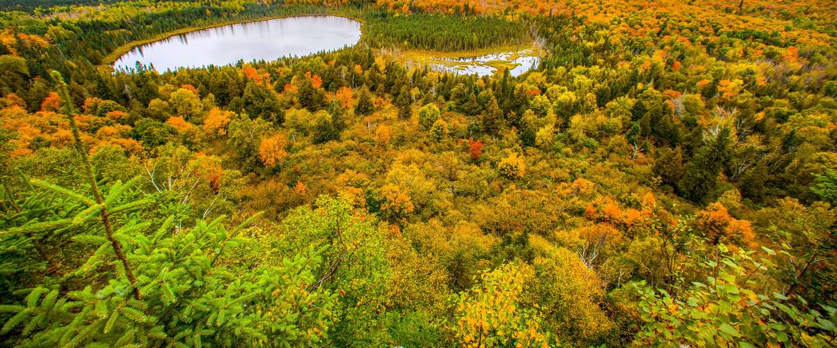 View of forest and lake, Oberg Mountain hiking trail, Tofte, Minnesota, USA
