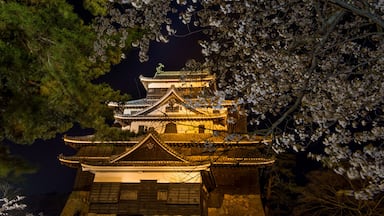 A tall building with a lot of trees in the background Matsue Castle japanese fortification landmark