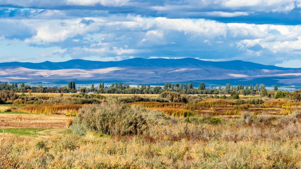 View of Toppenish National Wildlife Refuge in Eastern Washington