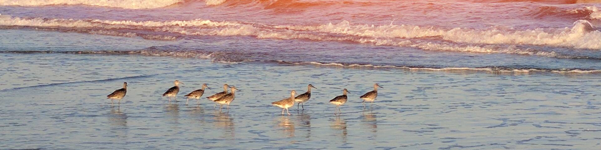 Beautiful sunny morning