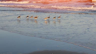 Beautiful sunny morning