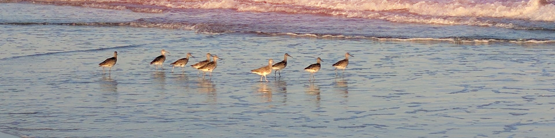 Beautiful sunny morning