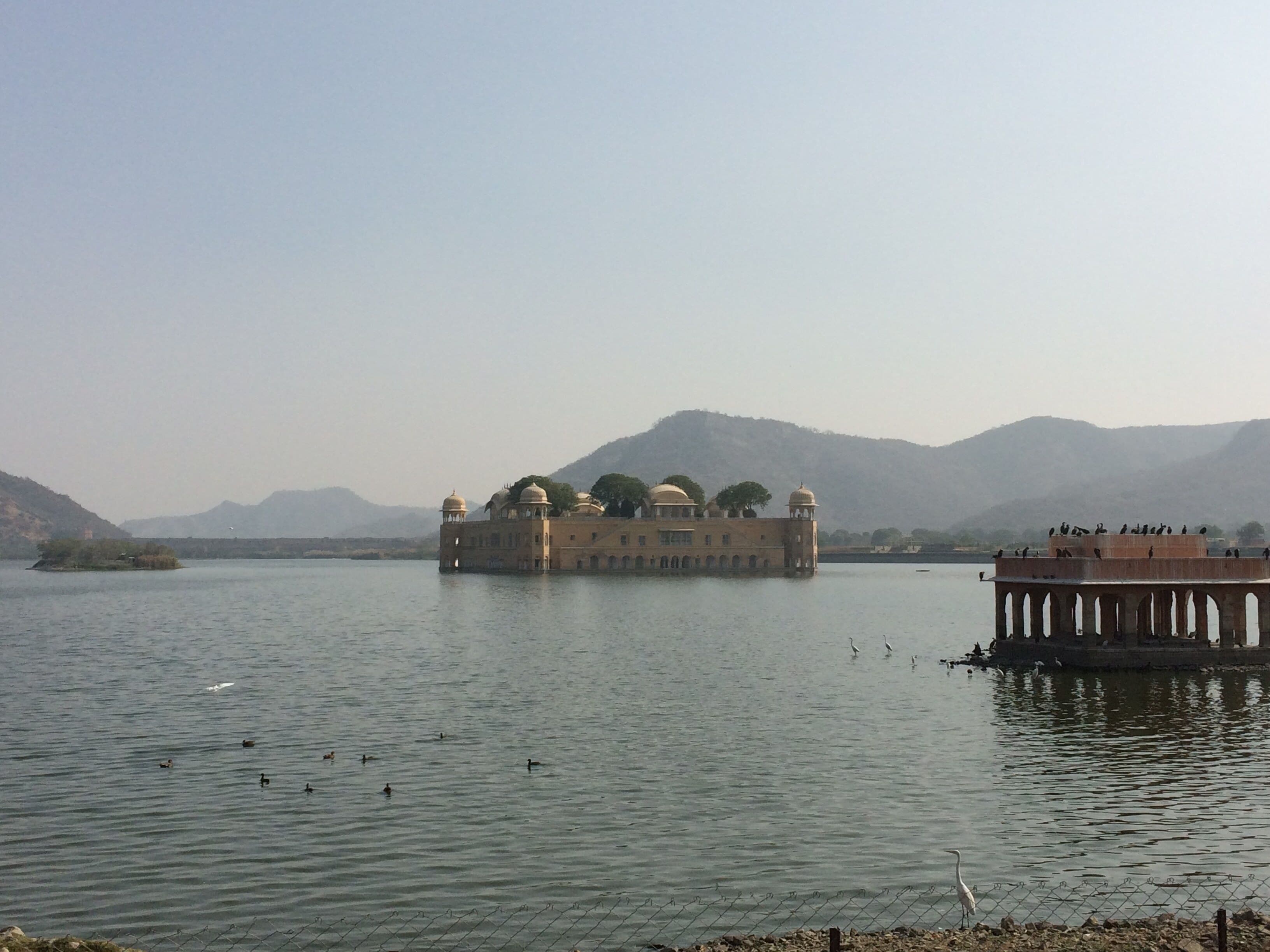 The Jal Mahal shown here and the Hawa Mahal are two of the top attractions in Jaipur.  The city is known as the Pink City.   Hawa Mahal is made with red and pink sandstone, and much of the surrounding area is painted pink each year.  