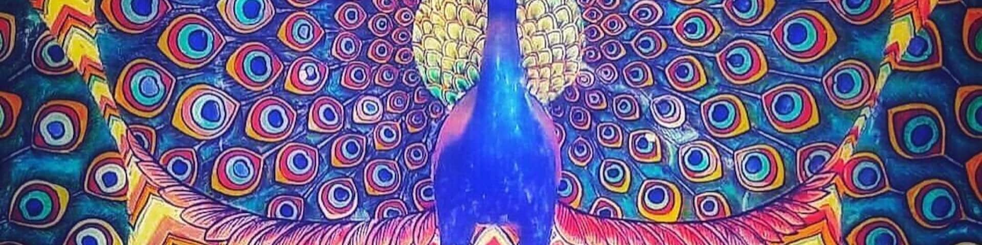 #Peacockgate is one of the four gates at #PitamNiwasChowk of #CityPalace, #Jaipur. The four gates in this courtyard represent four seasons. This is a closeup above the gate the represents #Monsoon season. #india #rajasthan #indiaclicks #patterns #lifeatexpedia