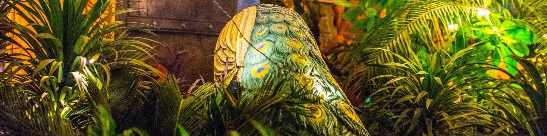 Our last evening in Jaipur was spent at this beautiful rootop restaurant. They also have a small shop where they sell genuine silverware & gemstones (not always easy to find in India). The food is yummy & the atmosphere is great!
www.alifefullofserendipity.com
#alifefullofserendipity #serendipitytess #india #Jaipur #Rooftop #Peacock #Atmosphere