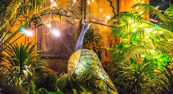 Our last evening in Jaipur was spent at this beautiful rootop restaurant. They also have a small shop where they sell genuine silverware & gemstones