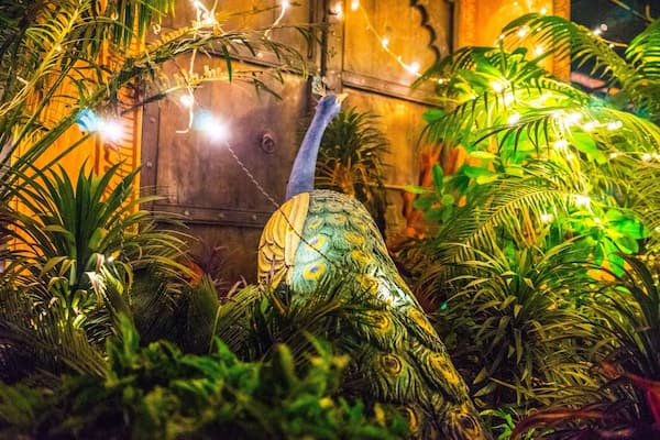 Our last evening in Jaipur was spent at this beautiful rootop restaurant. They also have a small shop where they sell genuine silverware & gemstones (not always easy to find in India). The food is yummy & the atmosphere is great!
www.alifefullofserendipity.com
#alifefullofserendipity #serendipitytess #india #Jaipur #Rooftop #Peacock #Atmosphere