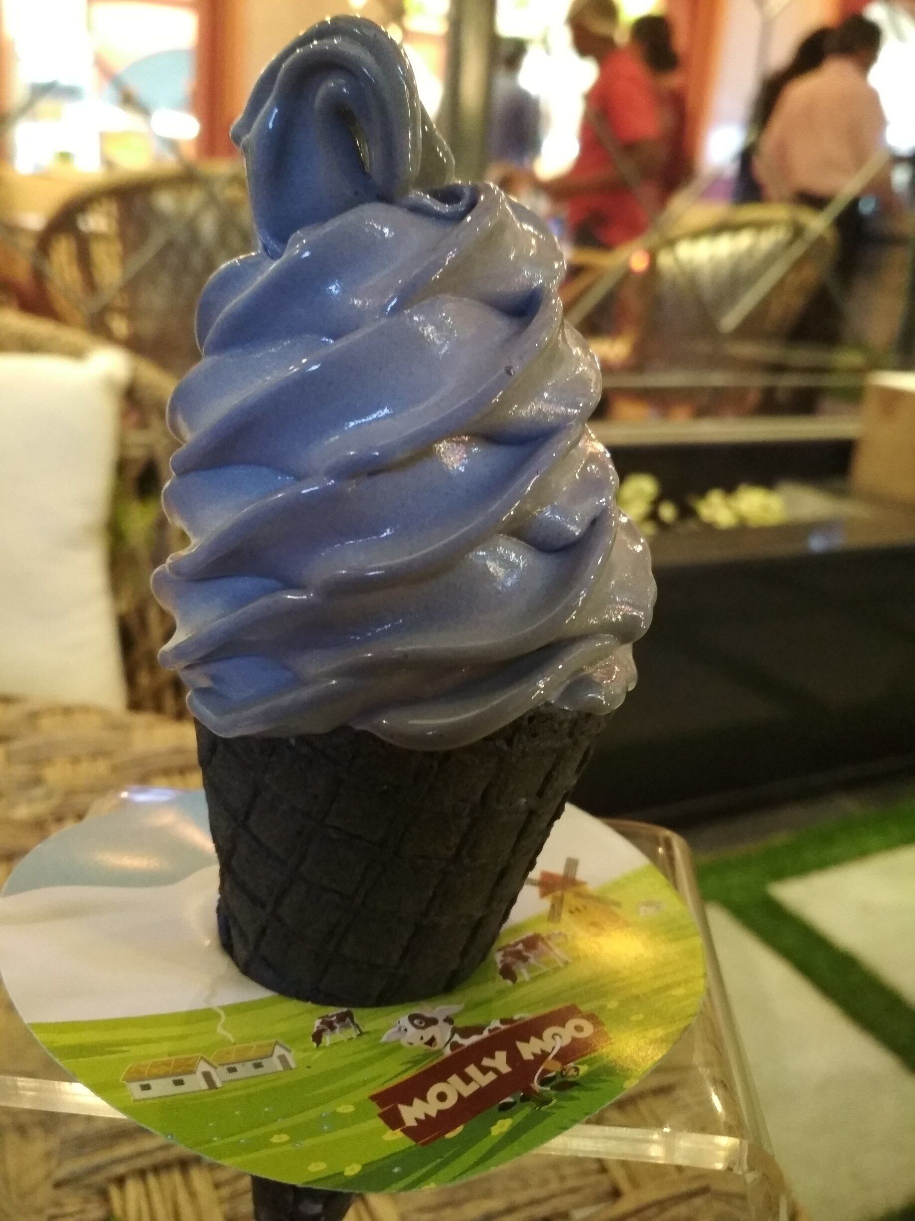 Hola to all the Charcoal Lovers.
Finally the awaited Charcoal flavored Soft Cream now available in Jaipur as well..!!

Molly Moo Ice Cream Parlor is a great place to dessert hangout. It has indoor as well outdoor seating available alongside the excellent ambience.

Happy Charcoaling..!

#SweetSpot #icecream #Jaipur #foodie #Dessert