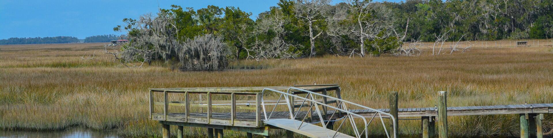 A wooden dock extending into a calm body of water, surrounded by marshland and sparse trees.