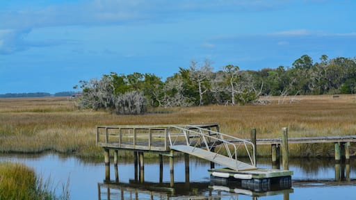 A foot bridge to a dock on the inter coastal in Townsend, Mcintosh county, Georgia USA