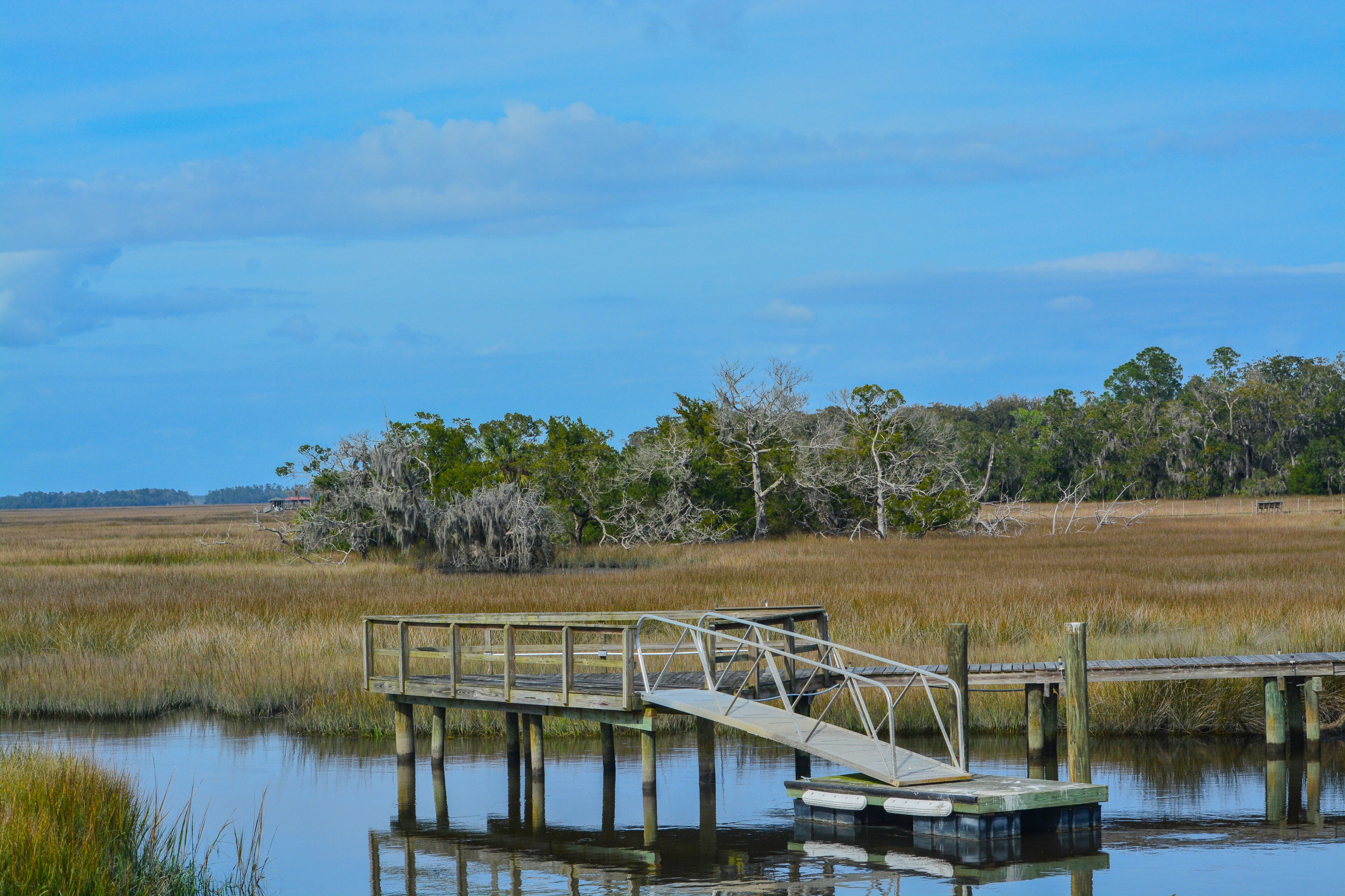 A wooden dock extending into a calm body of water, surrounded by marshland and sparse trees.