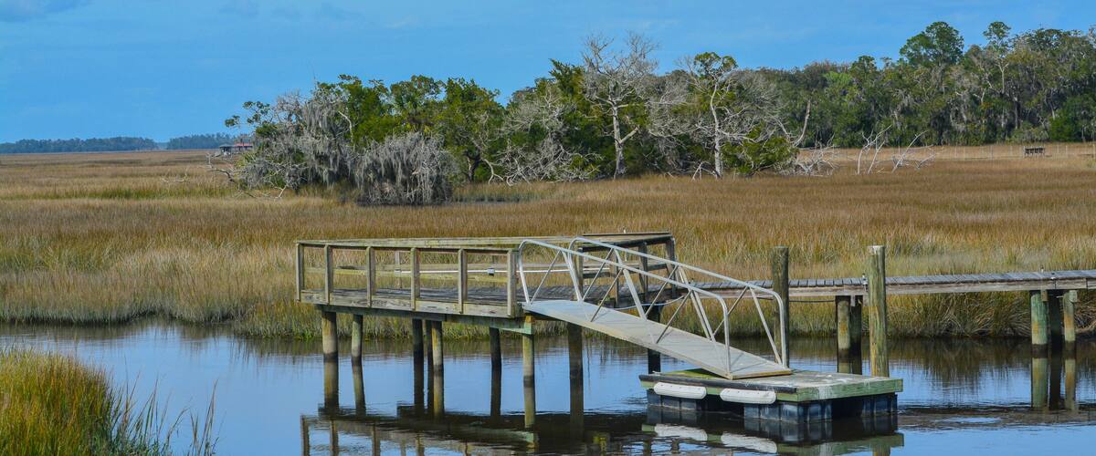 A wooden dock extending into a calm body of water, surrounded by marshland and sparse trees.
