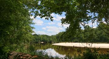 Le Fleur's Bluff State Park nature trail along the Pearl River. Walk slow, listen to the birds sing, and enjoy the view!