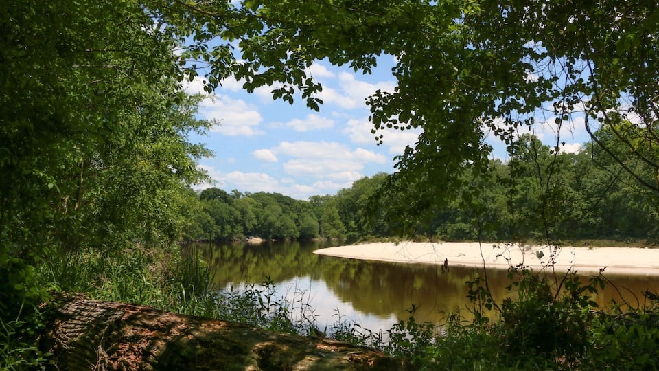 Le Fleur's Bluff State Park nature trail along the Pearl River. Walk slow, listen to the birds sing, and enjoy the view!