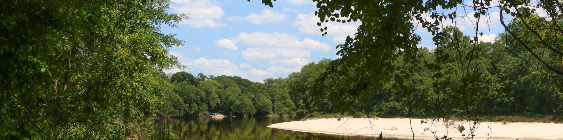 Ein Fluss mit sandigem Ufer, umgeben von dichtem Grün.