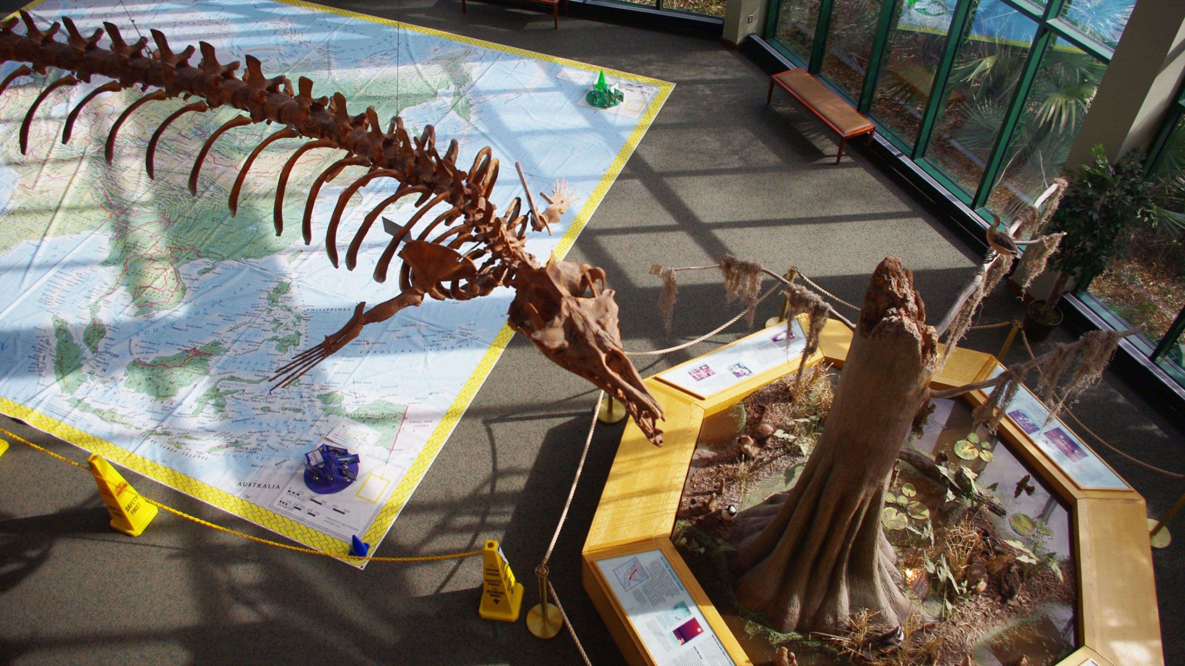 Jackson ofreciendo vistas interiores