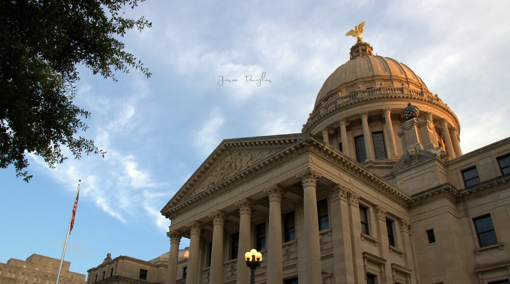 State capitol building in Jackson Mississippi was built in 1903. The eagle on the dome is 15 feet wide. #BvSCrete It has been a dream of mine to do photography fulltime and learning from the one that helped spark that passion would be a huge step towards that dream.