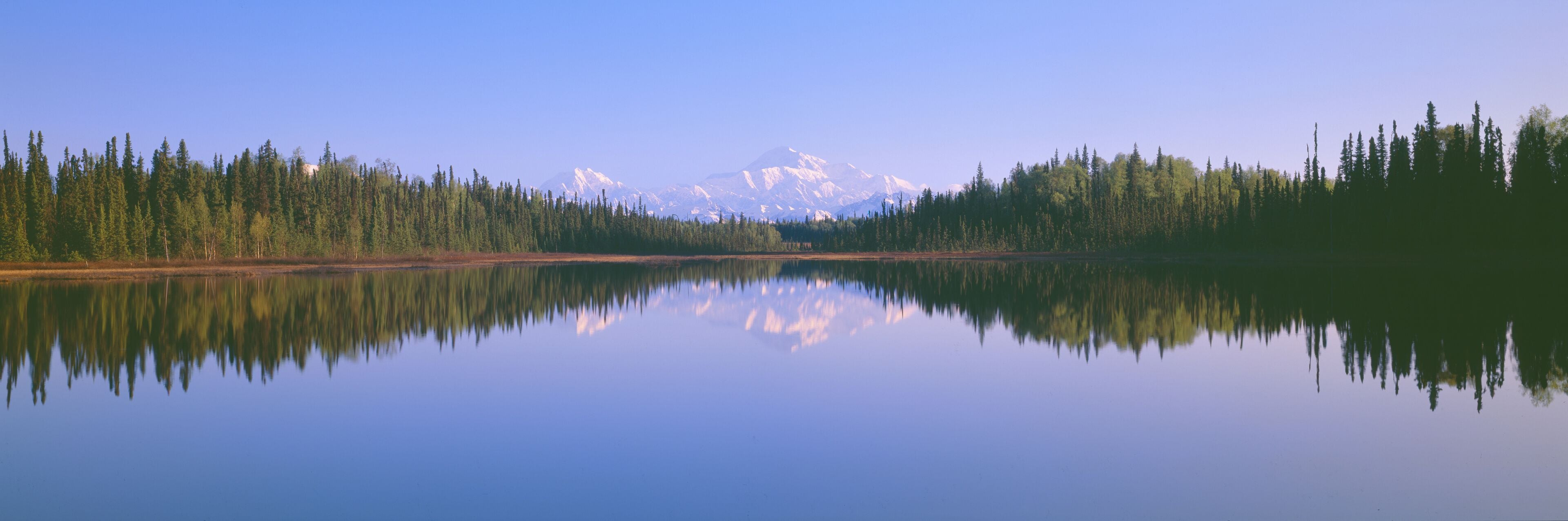 Trapper Creek and Mount McKinley, Alaska