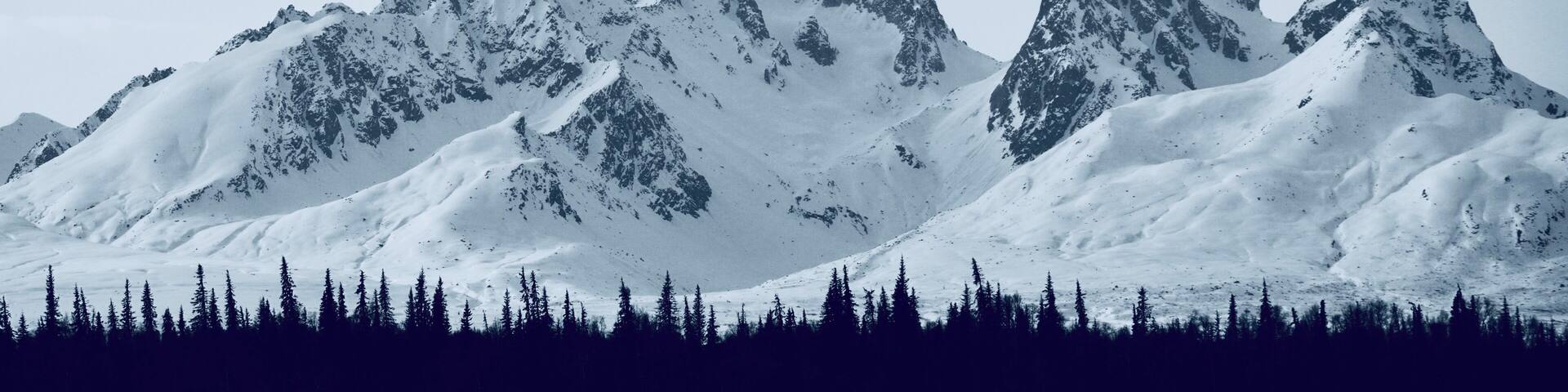 At 20,308 ft Denali mountain is the tallest in North America.