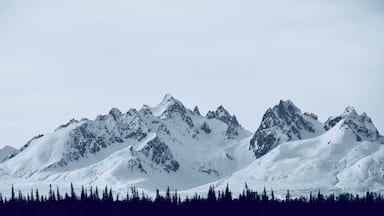 At 20,308 ft Denali mountain is the tallest in North America.