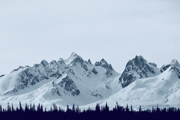 At 20,308 ft Denali mountain is the tallest in North America.
