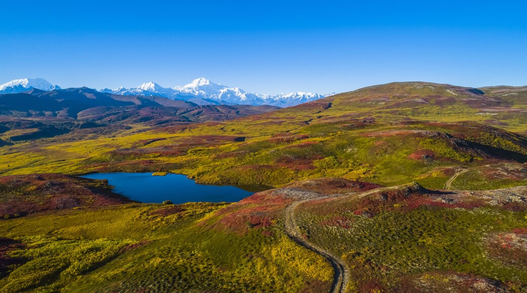 Trapper Creek