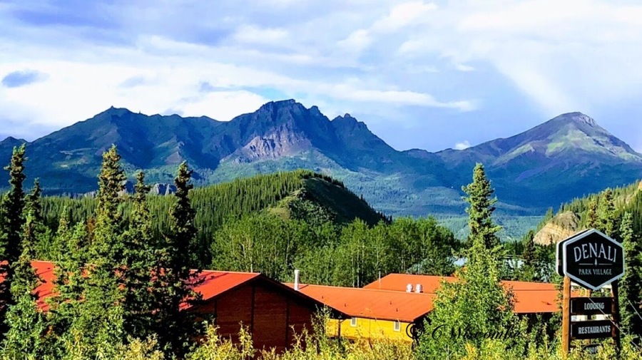 If Mt Denali is covered in clouds you’ll at least have this beautiful view! #GreatOutdoors Photo Contest
