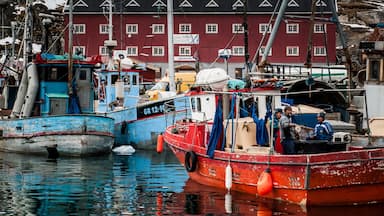 Ilulissat inclusief een baai of haven en varen