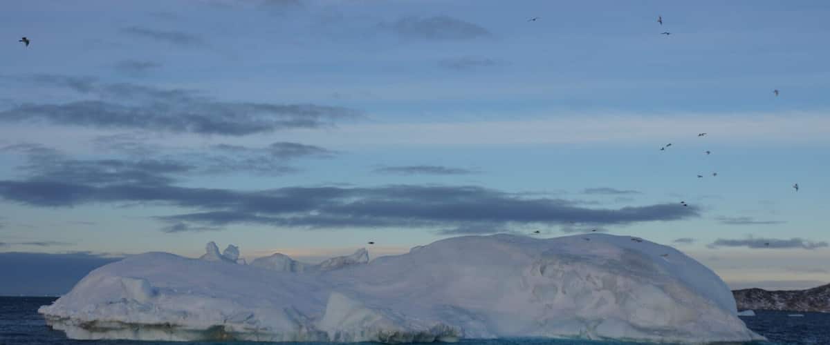 I may as well apologise in advance for the iceberg pics. I hope you enjoy a few. I can't wait to back for longer and independently.